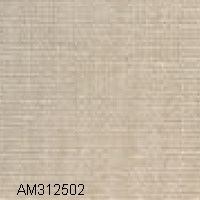 AM312502