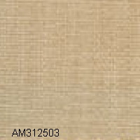 AM312503