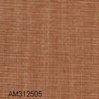 AM312505
