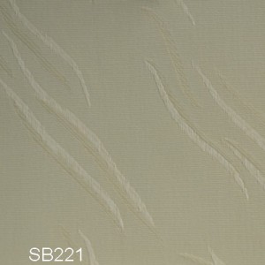 SB221